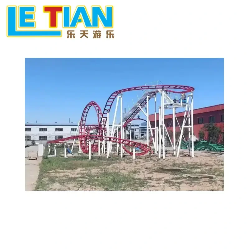 family roller coaster LT-8042A 1
