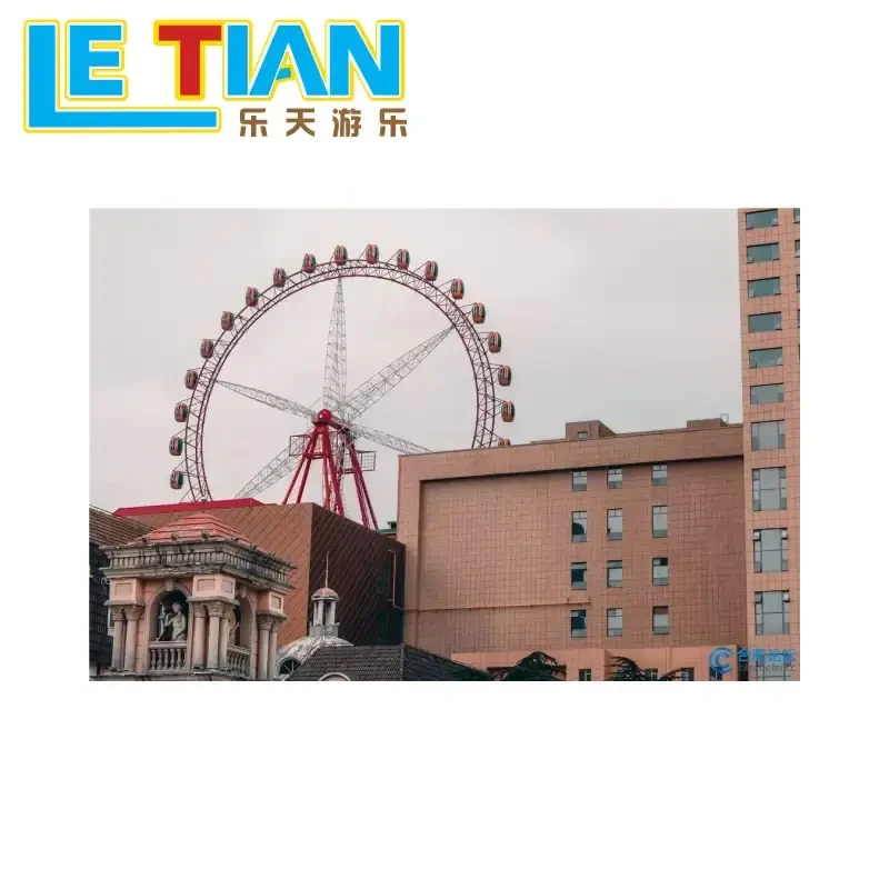 small size Ferris  wheel 1