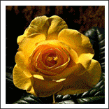 A5-3D Animation Effect (2)