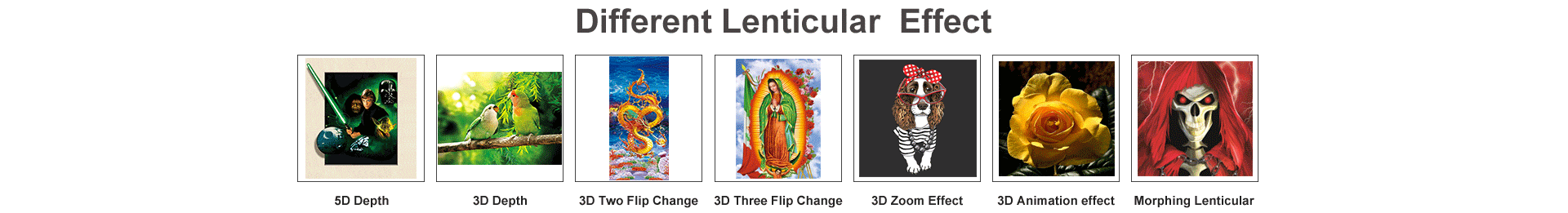 Lenticular Printing Explained How 3D Motion Effects Work Plus 2024 Profit Hacks 3