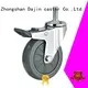 Dajin caster light duty dual wheel swivel caster for trolleys 1