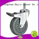 medium duty caster double for dollies Dajin caster 1
