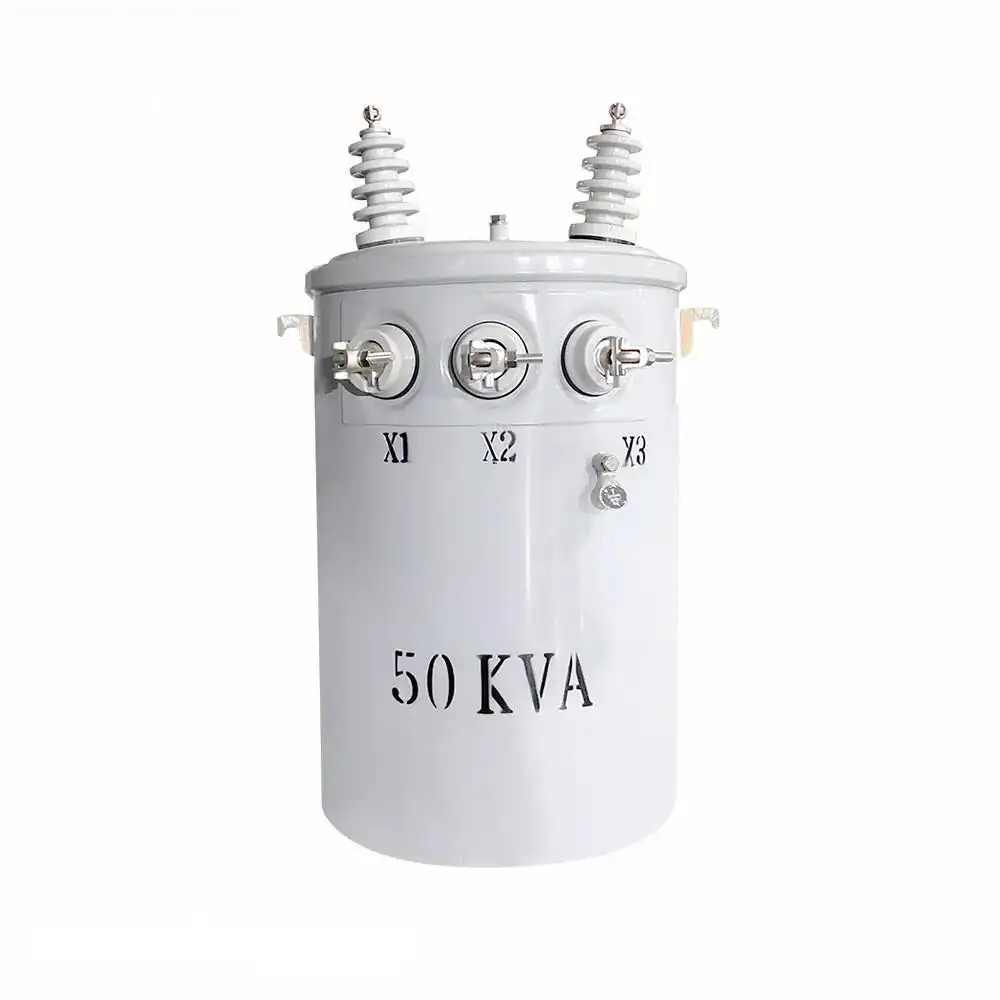 100 Kva Pole Mounted Transformer IEC60076 - - SHZHEL 7