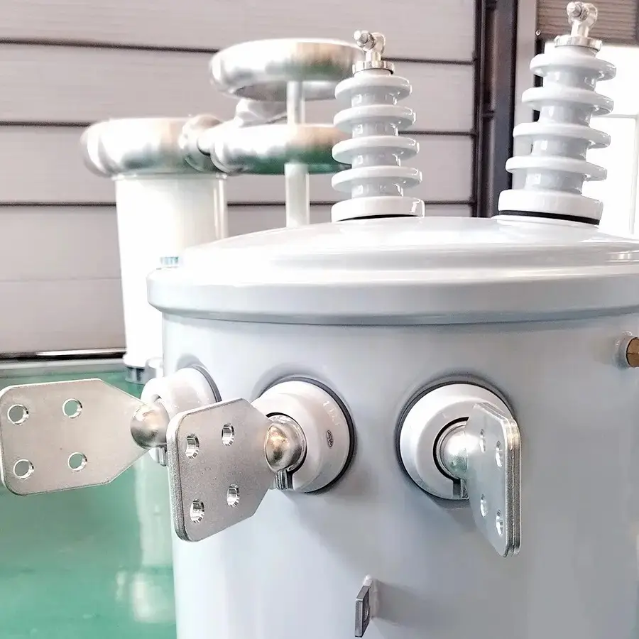 100 Kva Pole Mounted Transformer IEC60076 - - SHZHEL 4