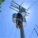 100 Kva Pole Mounted Transformer ISO9001 CE Wholesale - SHZHEL 8
