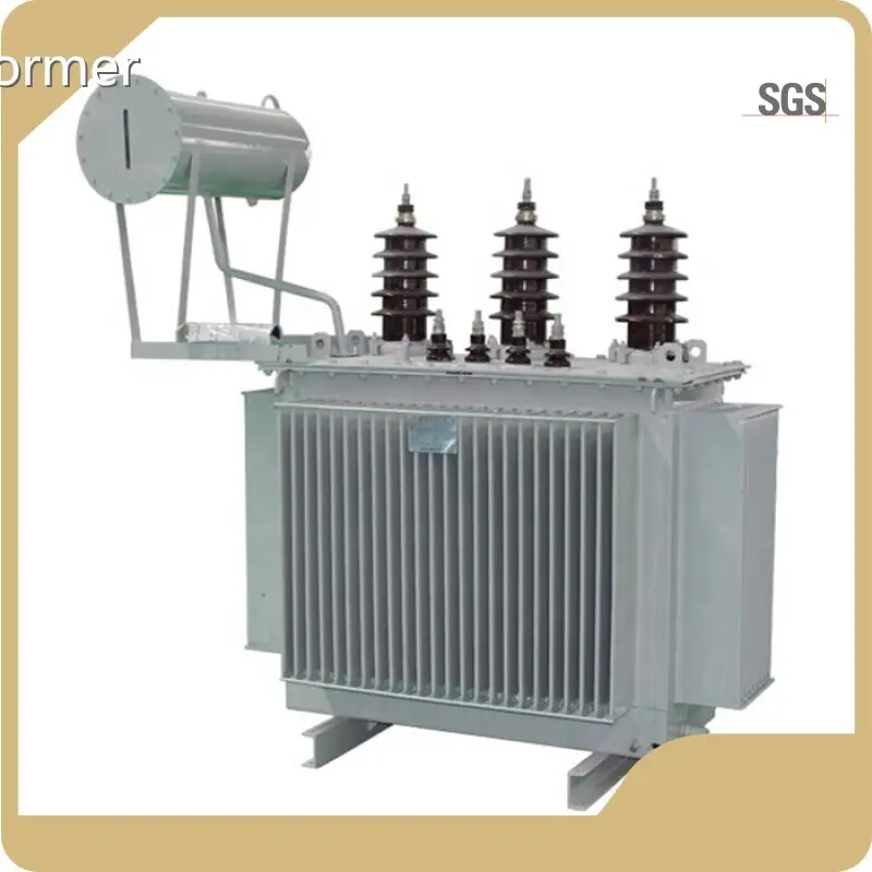 Oil Immersed Transformer Suppliers 10kV-35kV by SHZHEL 1