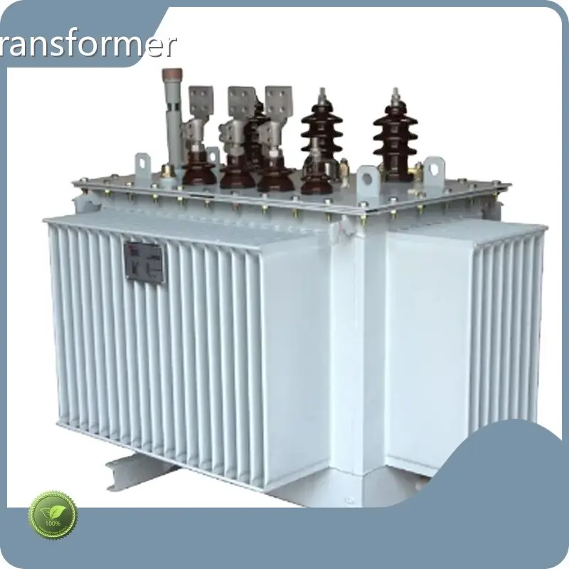 Oil Immersed Type Transformer S11 by SHZHEL 1