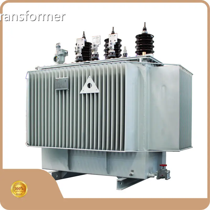 Oil-immersed Transformer ≤3150kVA by SHZHEL 1