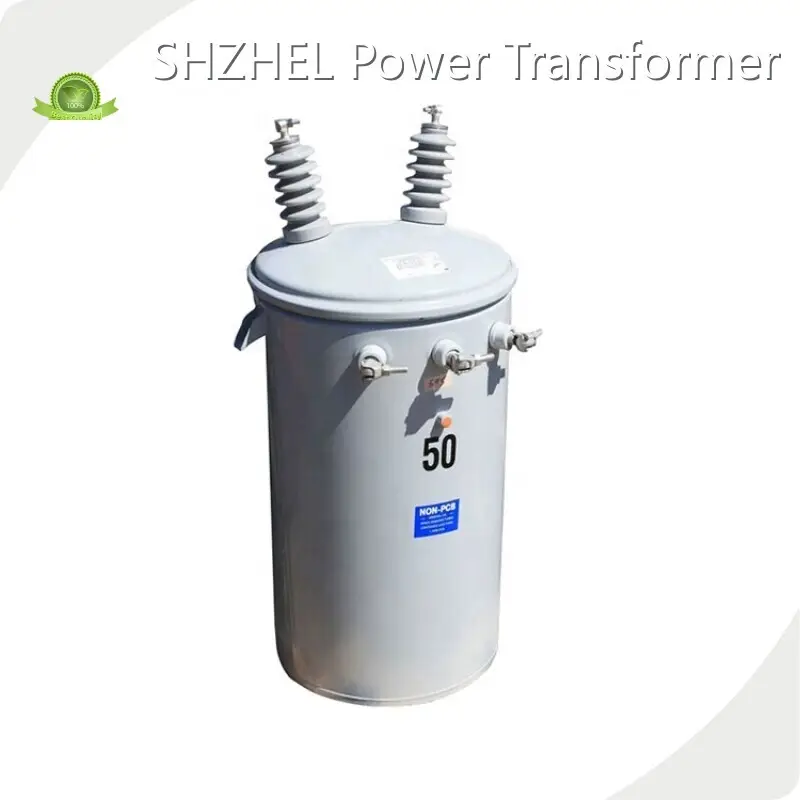 100 Kva Pole Mounted Transformer ISO9001 CE Wholesale - SHZHEL 1
