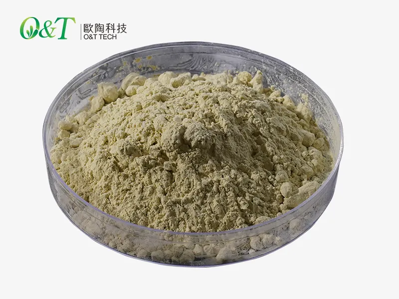 Eco Friendlyzinc Oxide Powder for Hospital Zinc OZn 2