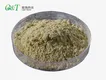 Eco Friendlyzinc Oxide Powder for Hospital Zinc OZn 2