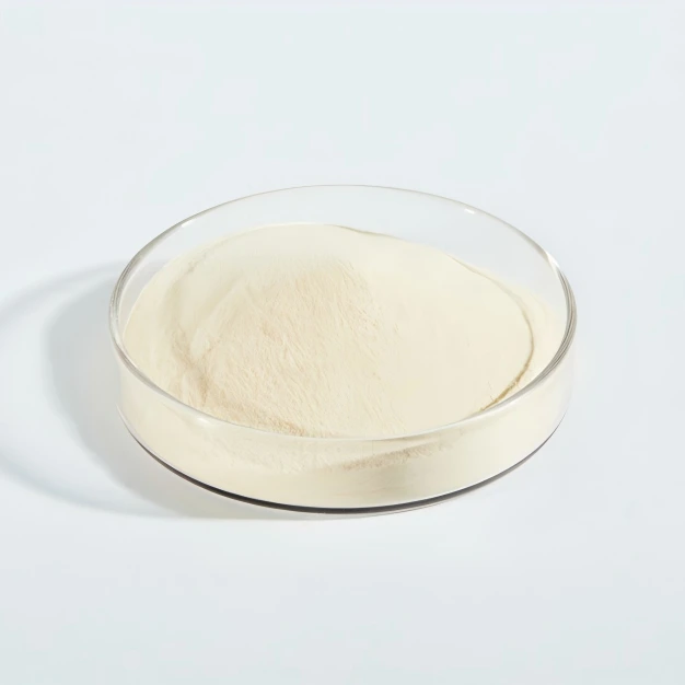 أجار CAS 9002-18-0 أجار-أجار 1