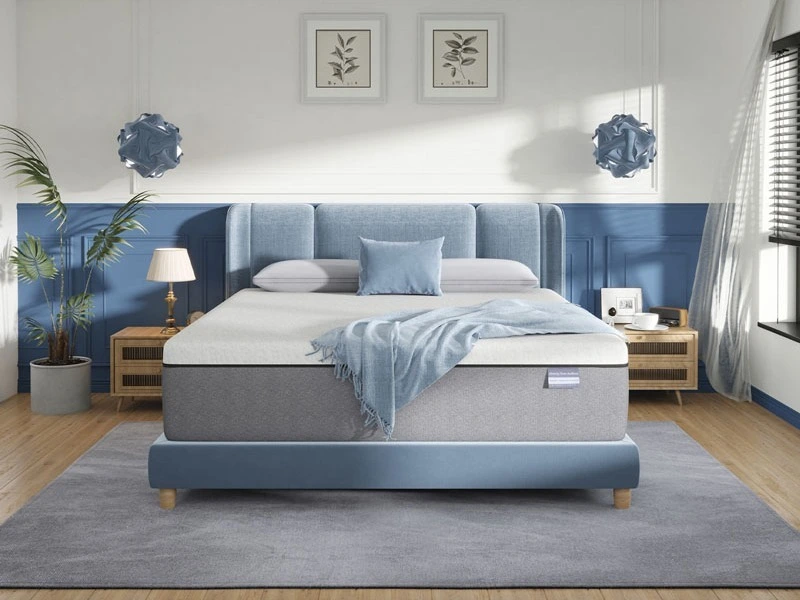 AdaptiveRest 10-Inch Gel Memory Foam Mattress 1