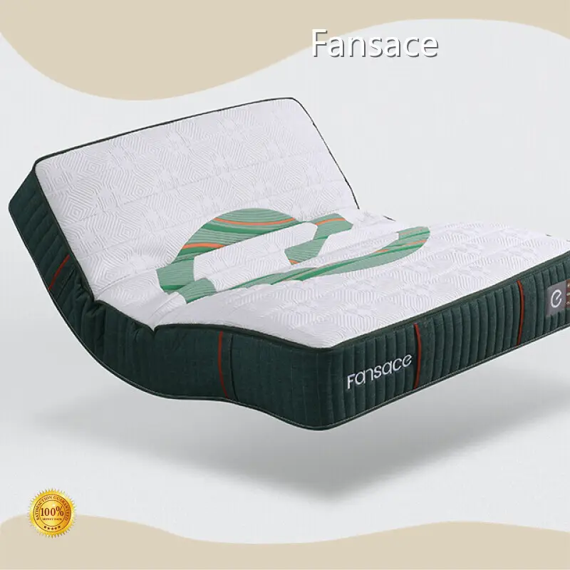 Temperature Adjusting Mattress Home Use、Medical/Recovery Use、Hotel/Premium Accommodation Use、Elderly Use by Fansace 1