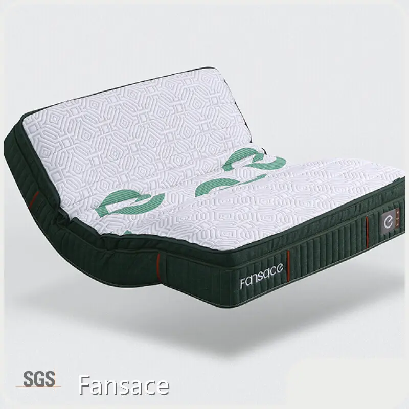 Mattress Manufacturing Company Home Use、Medical/Recovery Use、Hotel/Premium Accommodation Use、Elderly Use - - Fansace 1
