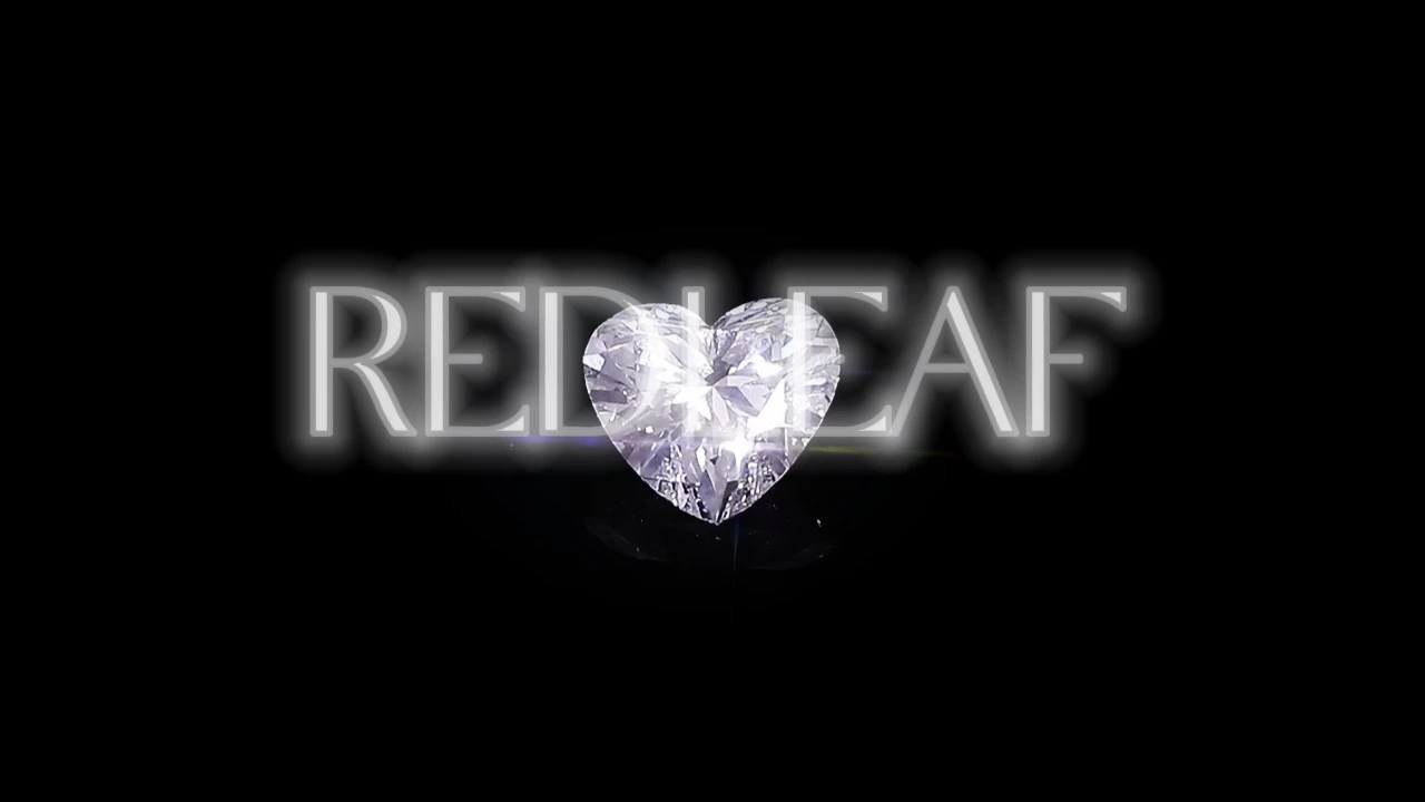 IGI Certified Lab Grown Diamond Heart Cut D~F VS VVS HPHT CVD 1-3 CT Loose LGD Loose Diamond Wholesale 1