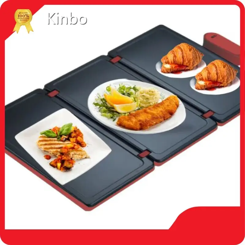 Top Electric Food Warmers for Parties Company 1