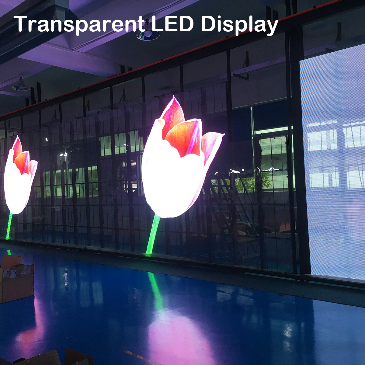 Pabrik papan display LED transparan terkemuka | LIGHTALL 8