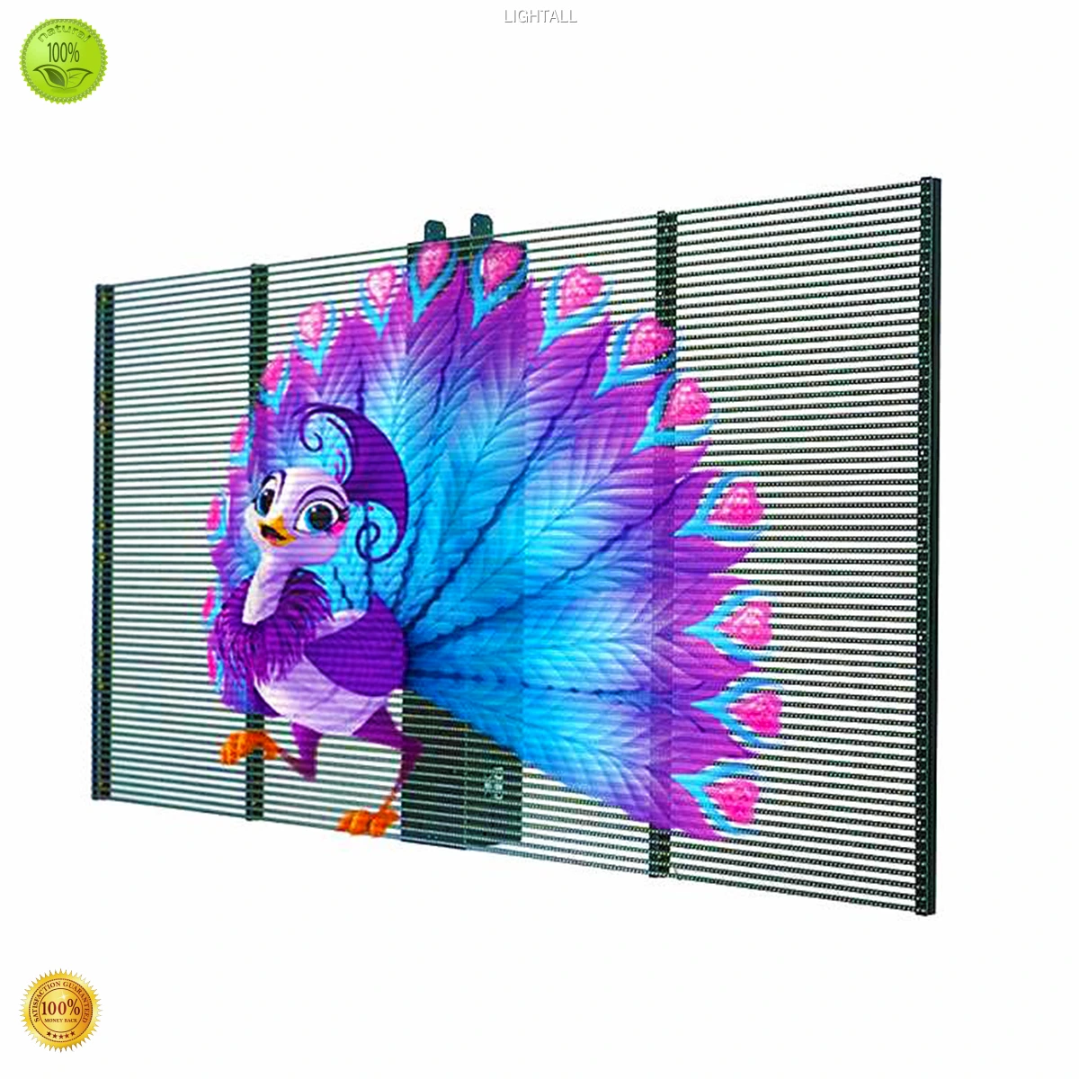 wiodąca fabryka transparentnych wyświetlaczy LED | LIGHTALL 1