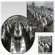 Tube Mill Rolls Manufacturer Tube Mill Rolls Wholesale - TENGDI-1 3