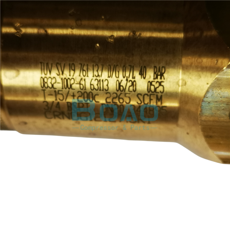 ضاغط Atlas Copco Air 0832100261 مورد صمام السلامة 4