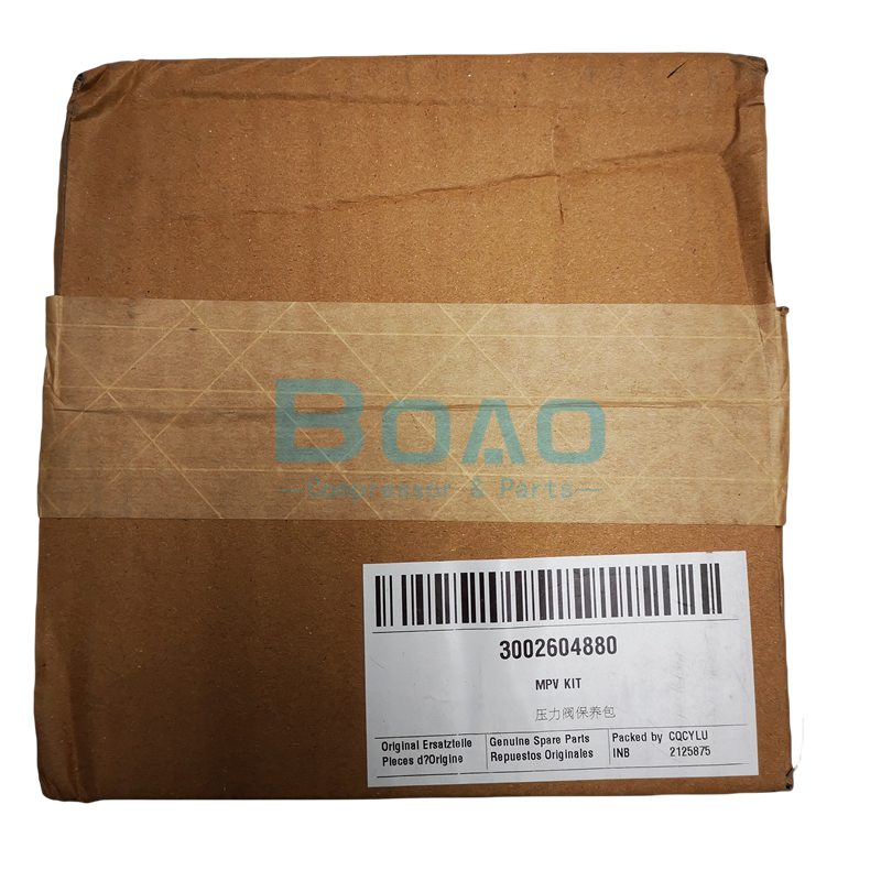 Atlas Copco 3002604880 MPV KIT for Oil-injected Screw Air Compressors 6