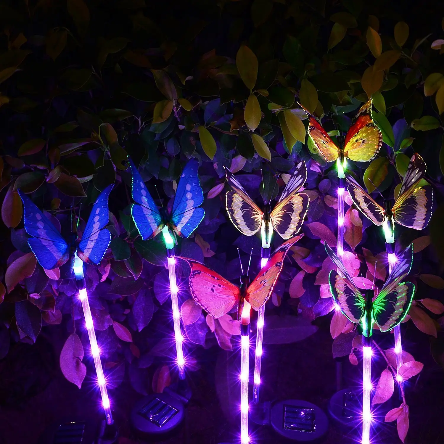 Best Solar Decorative Lamp Price List 2