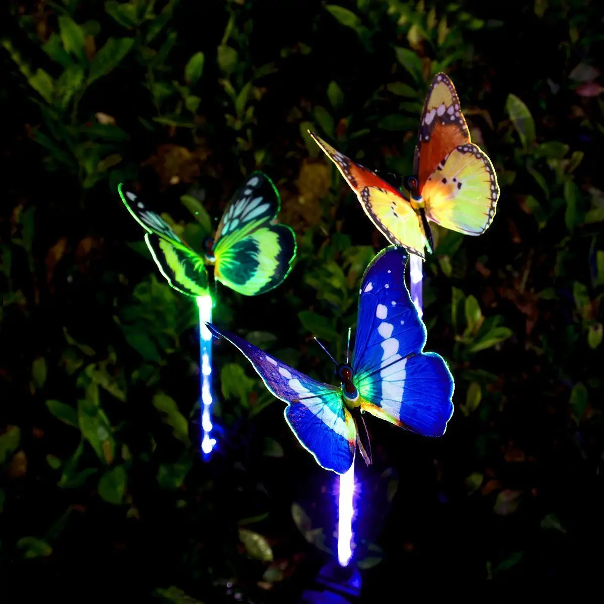 Best Solar Decorative Lamp Price List 3