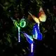 Best Solar Decorative Lamp Price List 3