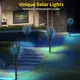Best Solar Lanterns Upplier 3
