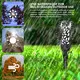 Best Solar Lanterns Upplier 5