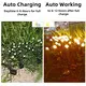 Solarmks Best Solar Powered Garden Lights Best Solar Powered Garden Lightssupplier 3