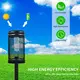 Best Outdoor Solar Lawn Lights with Custom Services 4