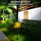 Best Outdoor Solar Lawn Lights with Custom Services 5