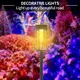Solar Lawn Lamp Upplier 4