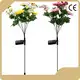 OEM/ODM Solar Lamp Factory Direct Supply 1