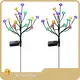 Wholesalesolar Decorative Lamp 1