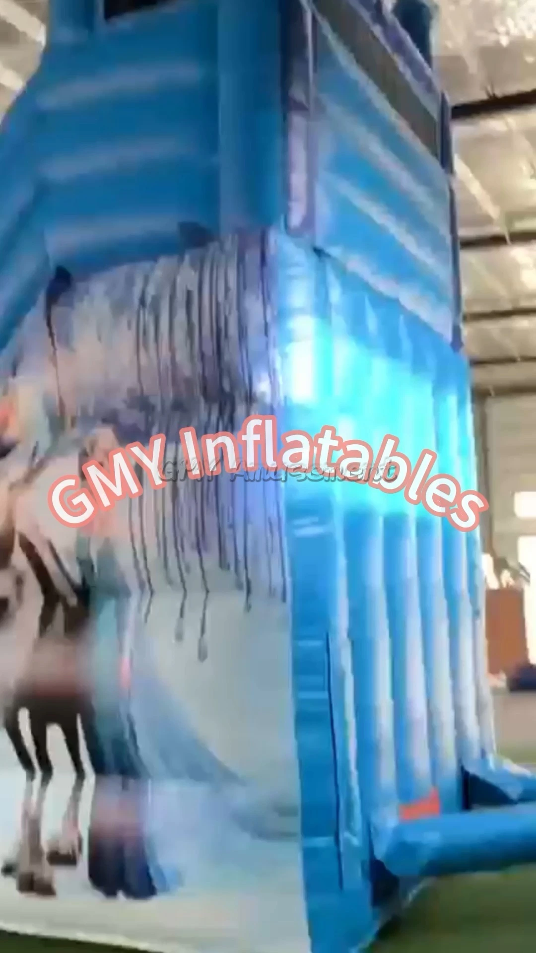 Wet Dry Girl Frozen Waterslide Water Slide Inflatable with Pool GMY Inflatables 1