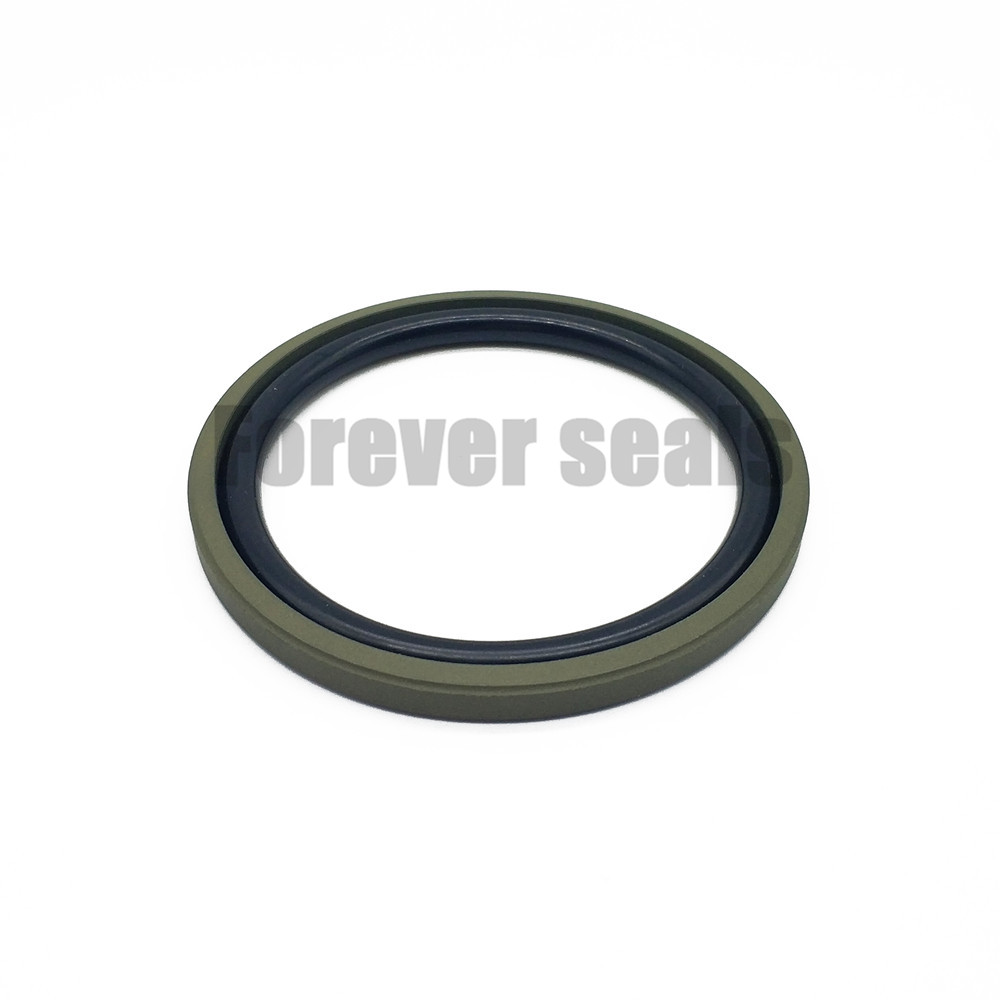 DPT Hydraulic Piston Seal with T-Type Design 2