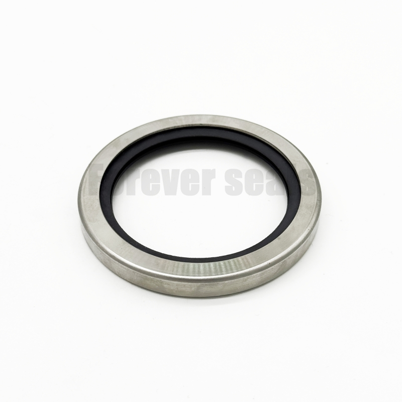 Sellos de aceite de acero inoxidable personalizados - Sellos de labios PTFE 1