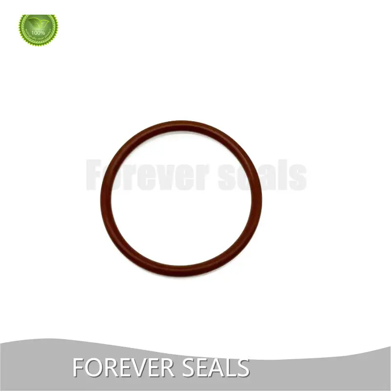 FOREVER SEALS Fkm O Rings Price List 1