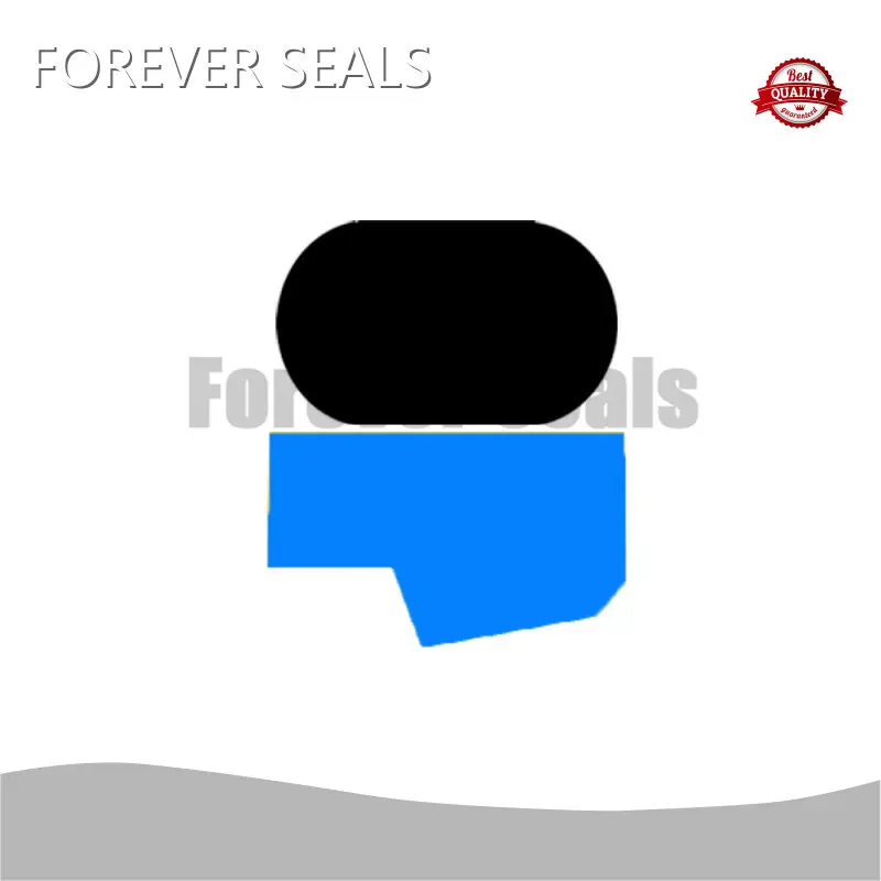 Rubber Seal Manufacturers Hydraulic Seals Wholesale - FOREVER SEALS 1