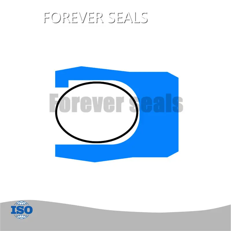 Ptfe Spring Energized Seals by FOREVER SEALS 1