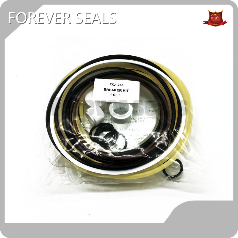 O Ring Seal Kit by FOREVER SEALS 1