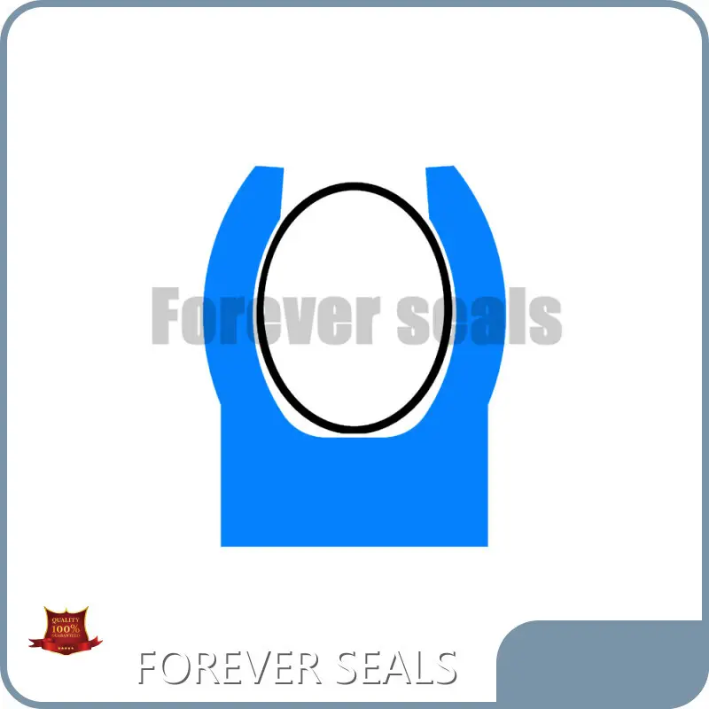 Spring Loaded Seals Spring Energized Seals Wholesale - FOREVER SEALS 1