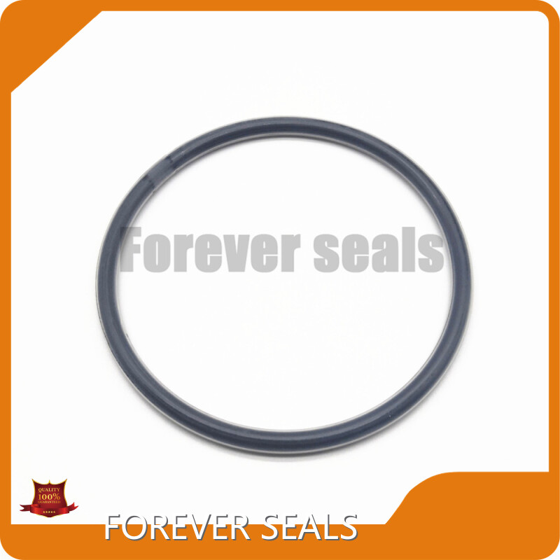 Rubber Seal by FOREVER SEALS 1
