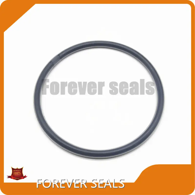 Rubber Seal by FOREVER SEALS 1
