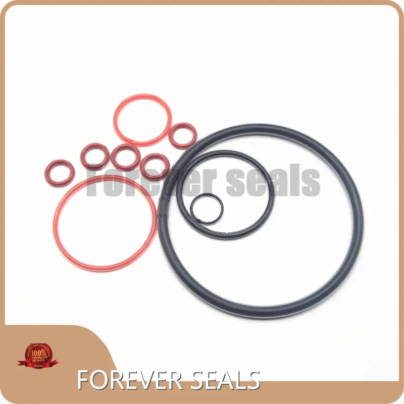 Cost-effective O Ring Seals Company 1
