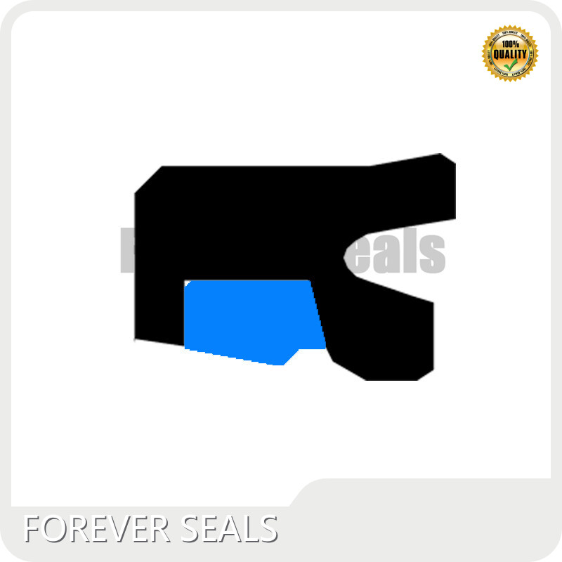 Customized Hydraulic Cylinder Piston Seal Types Company 1