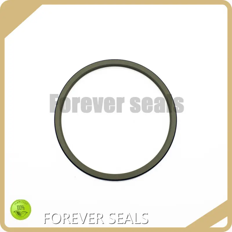 Cylinder Wiper Seal Products Wholesale - FOREVER SEALS 1